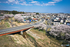 ODKs-0331
