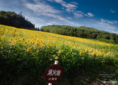 ODKs-1066600