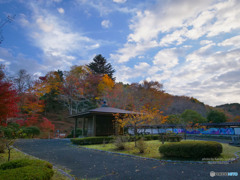 ODKs-1177808