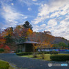 ODKs-1177808