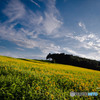 ODKs-1066903