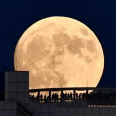 中秋の名月　楽しい夜