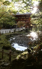 4C15B38A-02D0-438A-A378-AEB407826B00