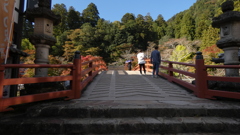 6F7F654F-580D-42AF-9C9E-259D71390D6E