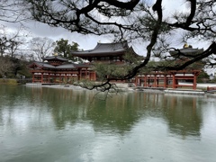 宇治　平等院
