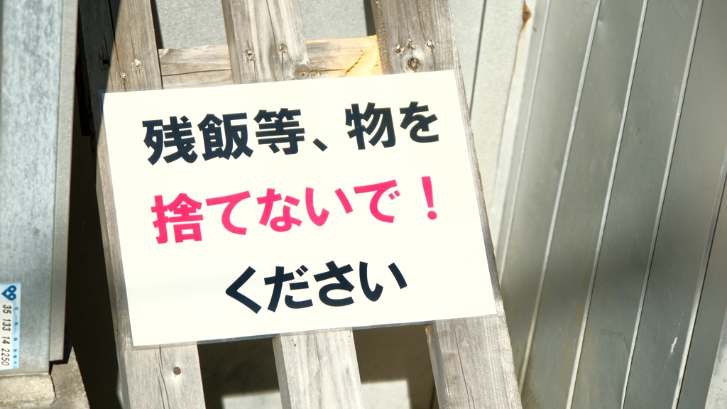 捨てないで！をあげましょう。