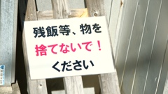 捨てないで！をあげましょう。
