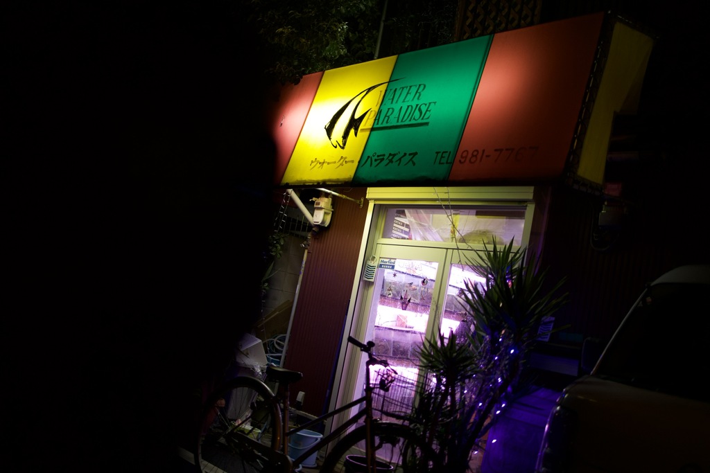 パラダイスを発見しました。