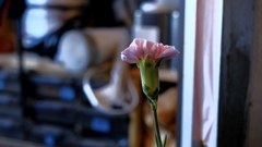 お花です。