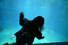 お魚さん