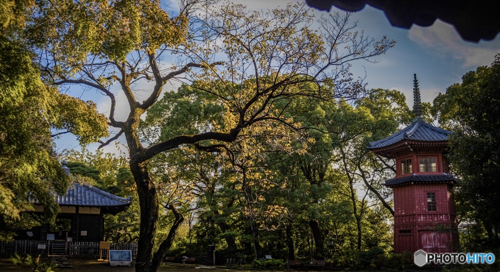 無題