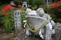 わかがえりたいしよみがえりたい