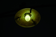 電球