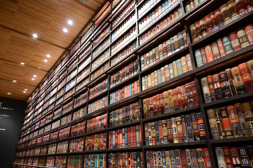 図書館の壁
