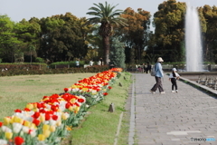 春の離宮公園の休日