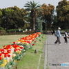 春の離宮公園の休日