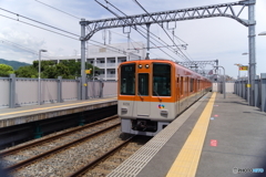 阪神　急行8000系