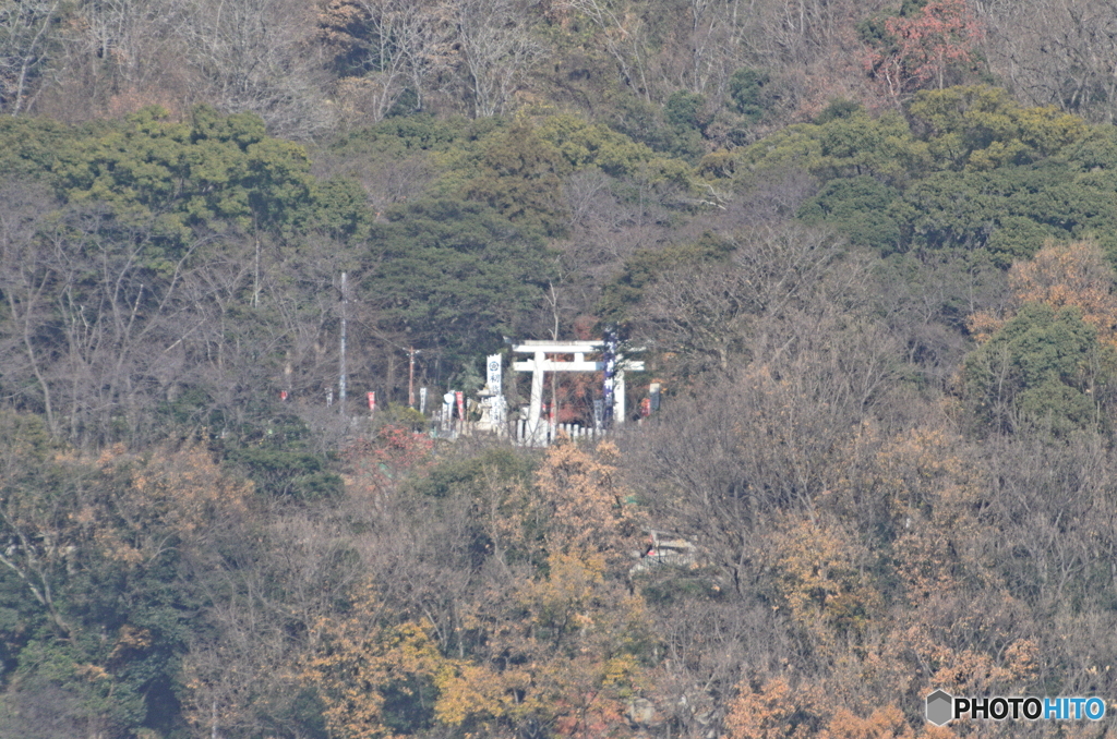 大晦日の保久良神社