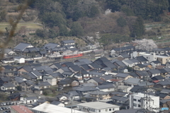 竹田城駅と桜