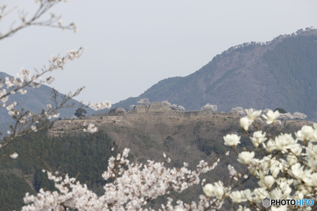 春の竹田城