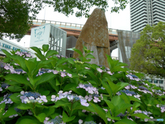 雨の日はオールドコンデジで