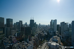 増加する大阪の高層ビル