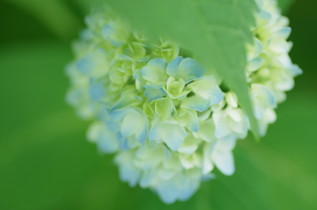 CE4A1F15-095B-4F52-A3D8-2DE1057D0FCF