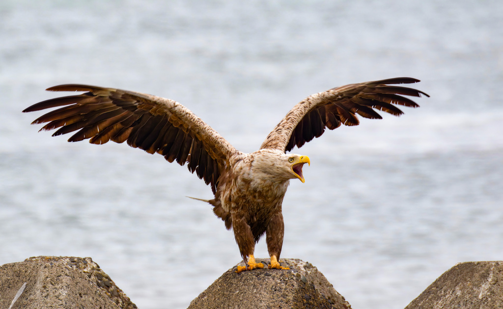 過去の写真から