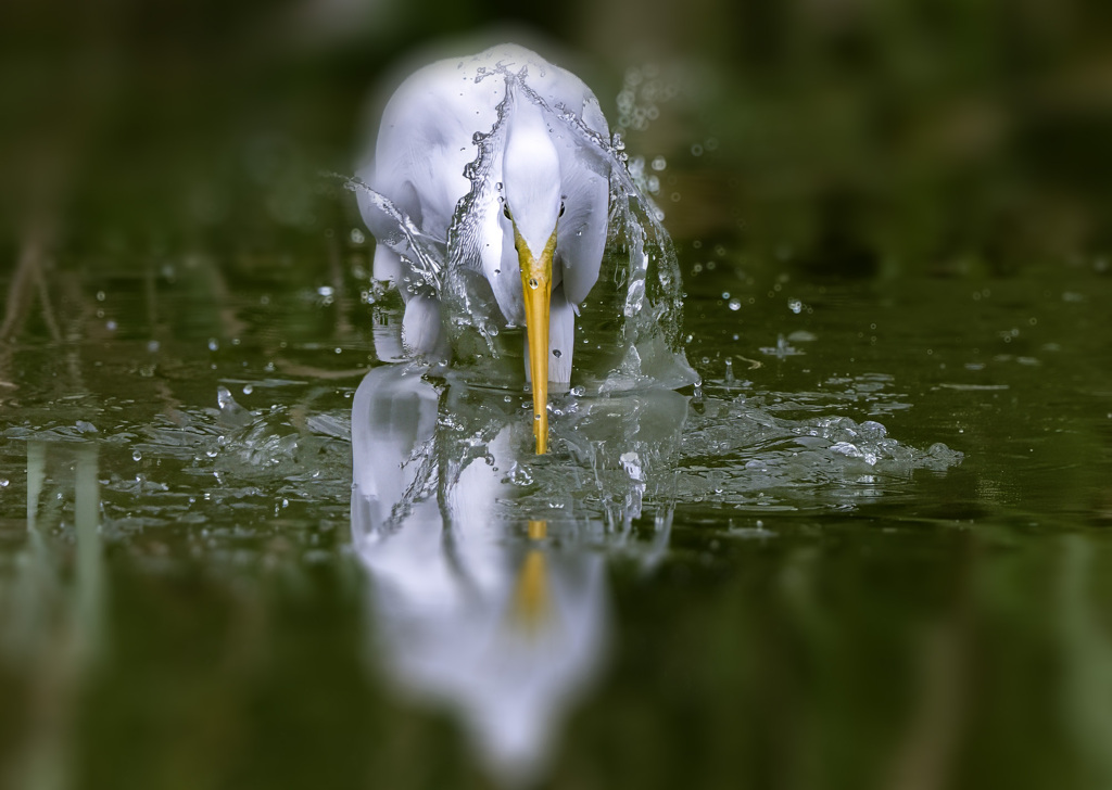 水しぶき
