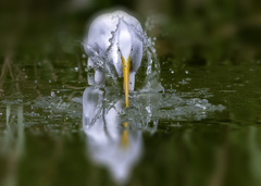 水しぶき