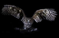 過去の写真から