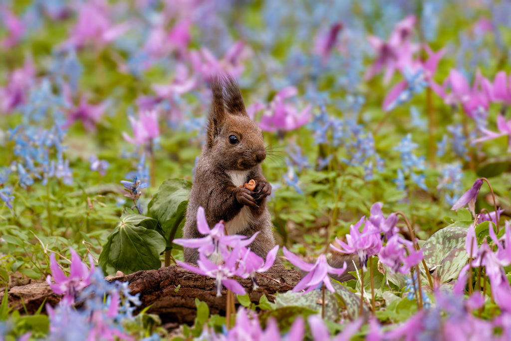 過去の写真から