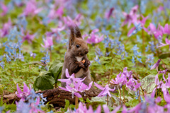 過去の写真から