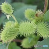 素敵なのに