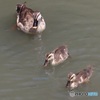 出会えてよかった