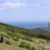 島の牧場