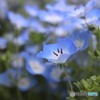 小さな公園にも