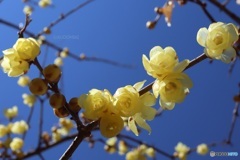 青空が似合う