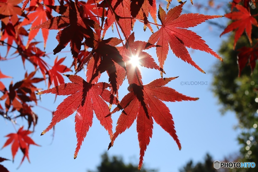 穴場の公園で