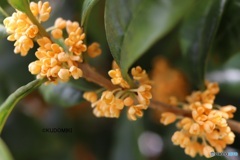 今が一番いい感じ