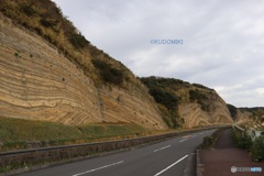 伊豆大島の地層切断面