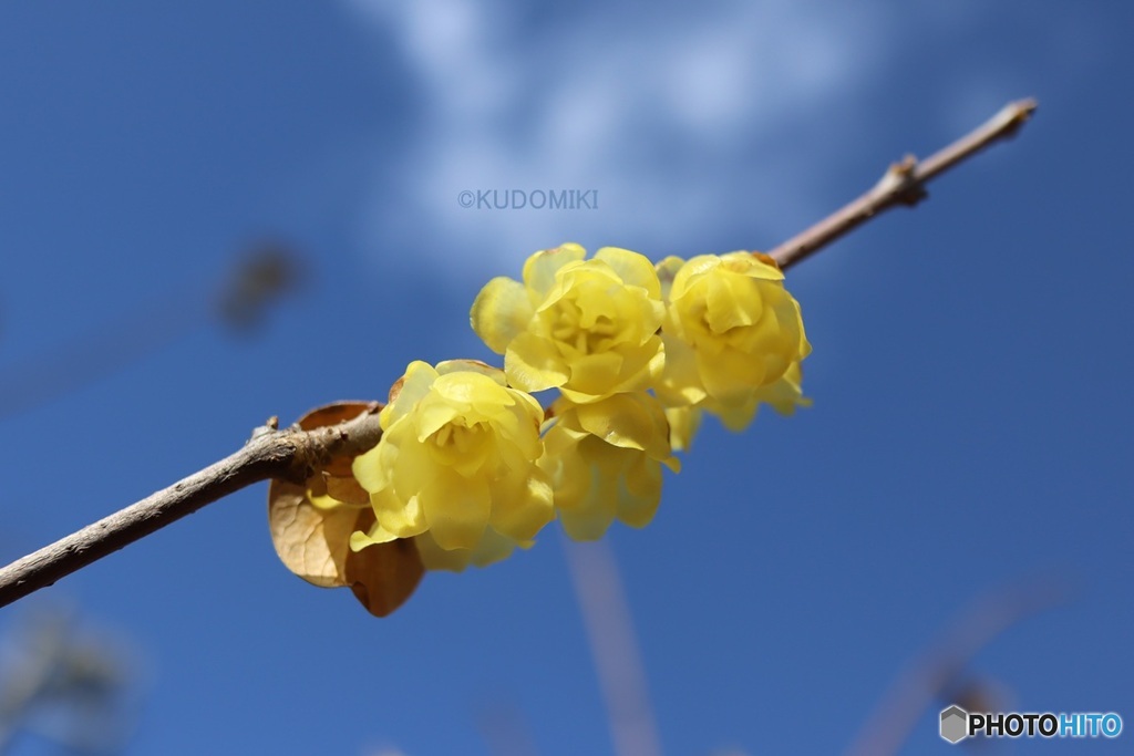 身を寄せ合うかのように