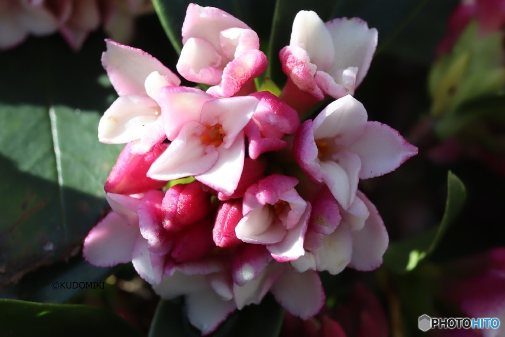 貴重な晴れ間に