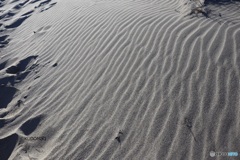 砂丘の風紋