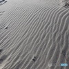 砂丘の風紋