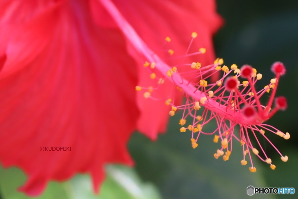 長く伸びた先に