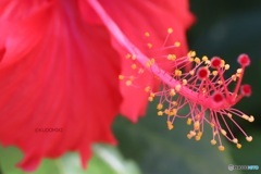 長く伸びた先に