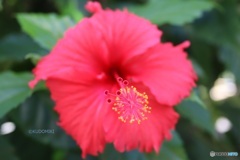 夏まだ終わってない