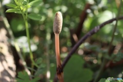 探すのやめたら見つかる