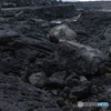 溶岩の海岸